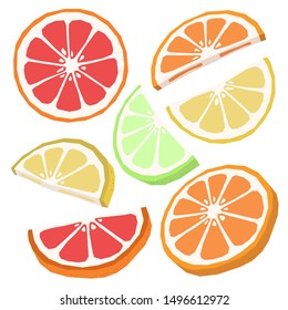 Vector orange lemon grapefruit lime slice flat isolated colorful illustrations