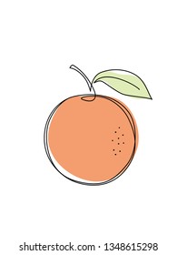 Vector orange. Line art logo, icon, label