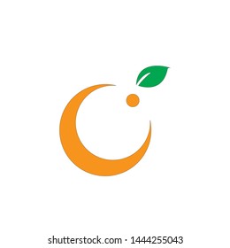 vector orange logo in a modern flat style