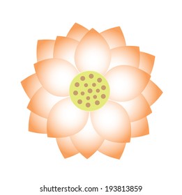 Vector orange lotus flower for background