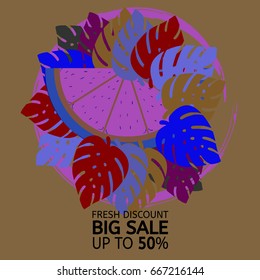 Vector orange and monstera leaves, pink frame on brown. Orange slice and magenta, brown, blue, red tropical leaves sale 50% banner, round botanical border, crazy colours. Discount poster background.