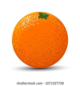 Vector Orange on a White Background. Stylized Orange in Modern Style. Bright Citrus Fruit for Banner, Template, Illustration, Advertizing, Wallpaper, Card.