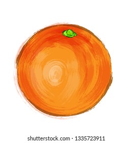 Vector of an Orange. Painting style. EPS10 format