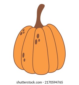 Calabaza de naranja vectorial. Hortalizas de otoño. Graciosa ilustración de cosecha de verduras.