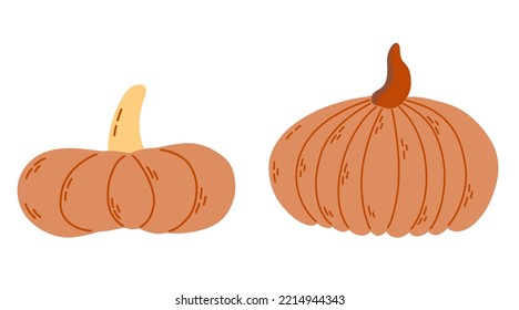 Vector orange pumpkin. Autumn vegetable. Funny veggie harvest illustration.