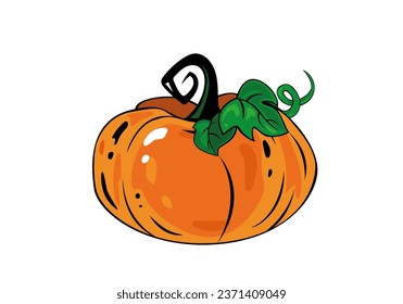 Vector orange pumpkin with green leaves on white background. Great element for autumn, food, Halloween celebrate concept.