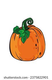 Vector orange pumpkin with green leaves. Great element for autumn, food, Halloween celebrate concept.