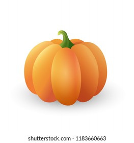 Vector orange pumpkin illustration isolated on white background