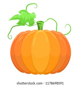 Vector orange pumpkin, isolated on white background.