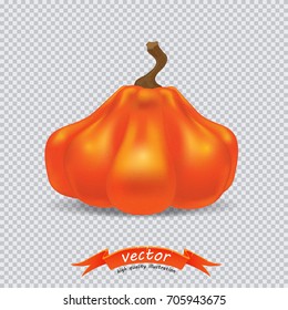 Vector orange pumpkin isolated on transparency grid background