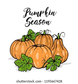 vector orange pumpkins for Halloween with green leaves and typography