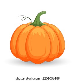 Vector orange pumpkins isolated on white background.