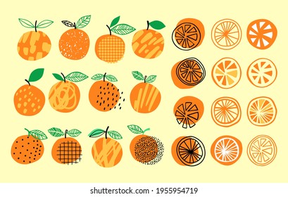 Vector orange set illustration. Hand drawn orange summer collection. Bright citrus design