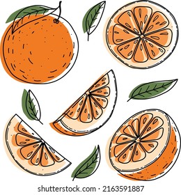 Vector orange set: orange, slice, half, whole, and leaves. Green abstract hand-drawn citrus collection with black outline isolated on white background.