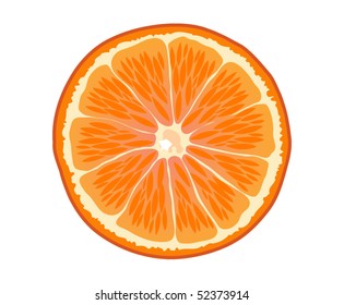 Vector. Orange slice