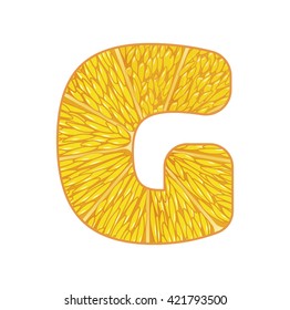 Vector orange slice alphabet on a white 
isolated background. bloomer G. Letter whith orange slice