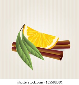 Vector orange slice and cinnamon sticks on delicate striped background