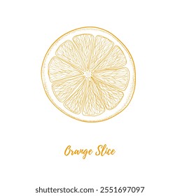 Vector orange slice line art illustration, graphic line art. Fruit for mulled wine. Dried orange. Elegant line botanical illustration. Great for any designs, textile, art, walls, package