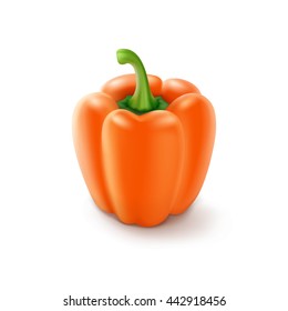 Vector Orange Sweet Bulgarian Bell Pepper, Paprika Isolated on White Background