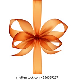 Vector Orange Transparent Bow and Ribbon Top View Close up Isolated on White Background