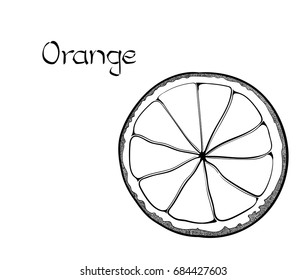 Vector Orange Vegetarian healthy treating hand drawn illustration. Use for bar, cocktail, flayer, banner, store
