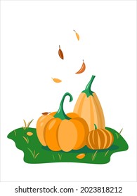 Vector orange and yellow pumpkins on the autamn grass