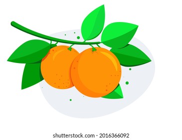 Vector oranges with branch and green leaves. Fresh fruit on background. Icon for banner, poster, label or flyer.