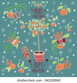 Vector oranges hand drawn. Color vector food illustration. New year food