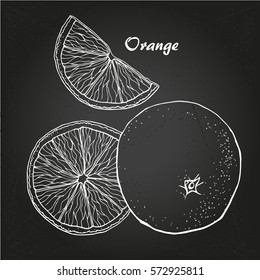 Vector oranges hand drawn sketch on chalk-board. Sketch vector food illustration. Vintage style