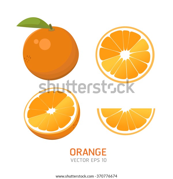 Vector Oranges Set Stock Vector (Royalty Free) 370776674 | Shutterstock