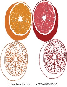 Vector Oranges - Vibrant Colors - Multipurpose 