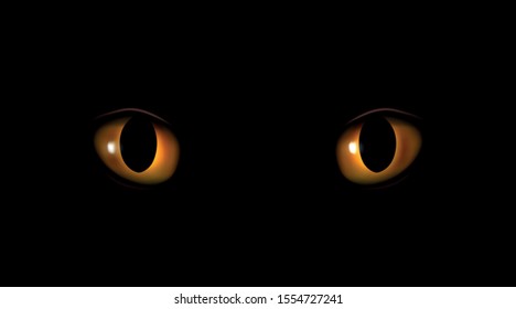 Vector orangle and yellow cat eyes staring in the dark vector illustration