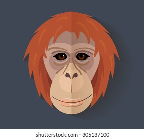 Featured image of post Face Orangutan Vector Vector image orangutan face illustrations vectors