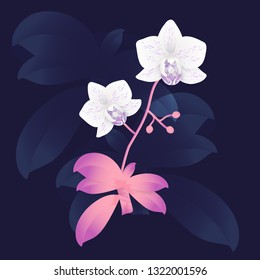 Vector orchid branch, hand drawn floral illustration on blue background