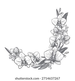 Orquídea Vector. Composición de flores, hojas y brotes de falaenopsis. Dibujo a tinta negra imitando el grabado. Dibujo de línea de una flor exótica. Ramo de plantas tropicales.