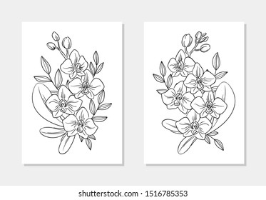 vector orchid exotic flower leaf bouquet coloring page book line art