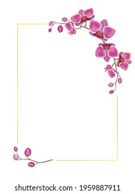 Vector orchid flower with gold frame for tropical design, romantic background or floral banner