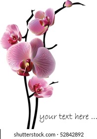 Vector orchid flower greeting card