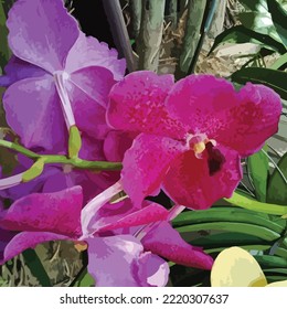 plantilla de ilustración de flores de orquídea vectorial