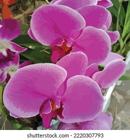 vector Orchid flower illustration template