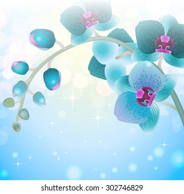 vector orchid flower on blur background