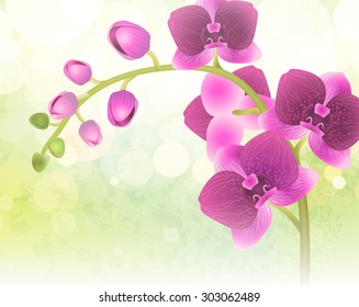 vector orchid flower on nature blur background