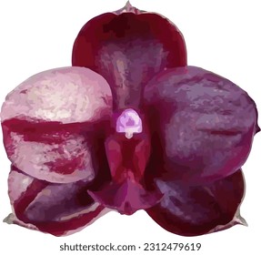 flor de orquídea vectorial sobre fondo blanco