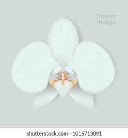 Closeup Orchid Stock Vectors Images Vector Art Shutterstock