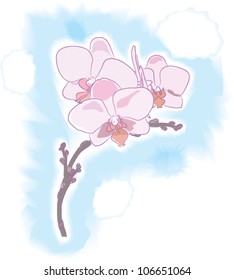 vector orchid flowers