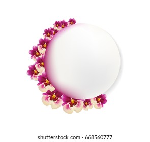 Vector. Orchid flowers around blank circle. Text template. Miltonia or miltonopsis orchid flowers done with mesh.