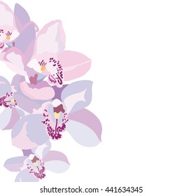 Vector Orchid flowers isolated 