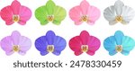 Vector orchid flowers. Multicolored tropical flowers