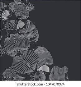 Vector orchid flowers on black backround. Can be used for modern design, printing on wrapping paper, creating card, invitation card for wedding, postcard, business card. Vector illustration.