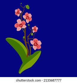 Vector - orchid greeting card. Watercolor illustration, template.